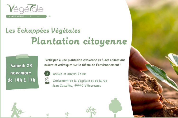 Plantation citoyenne